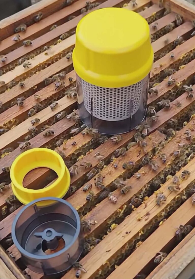 Varroa Treatment Guide for Ontario