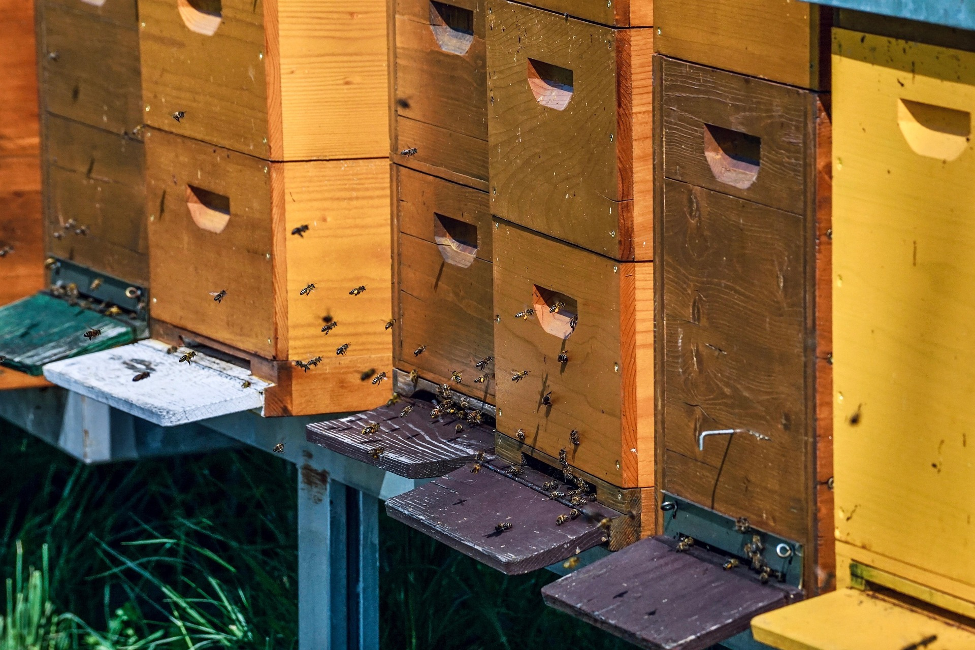 honey supers