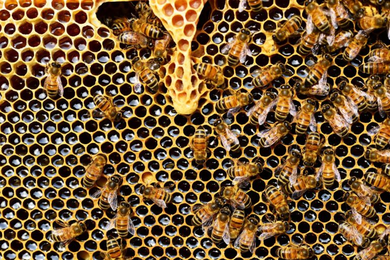hive split inspection