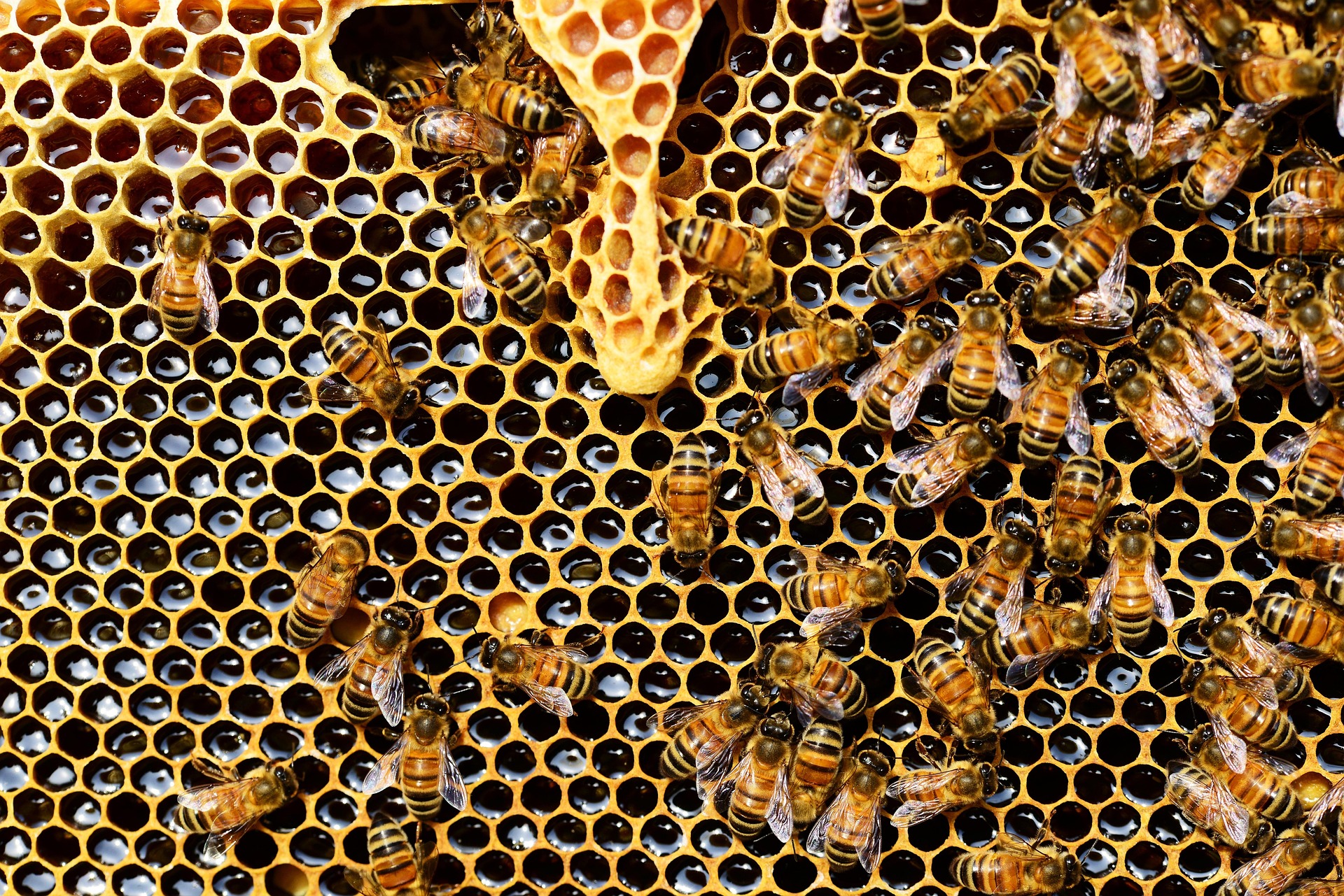 hive split inspection