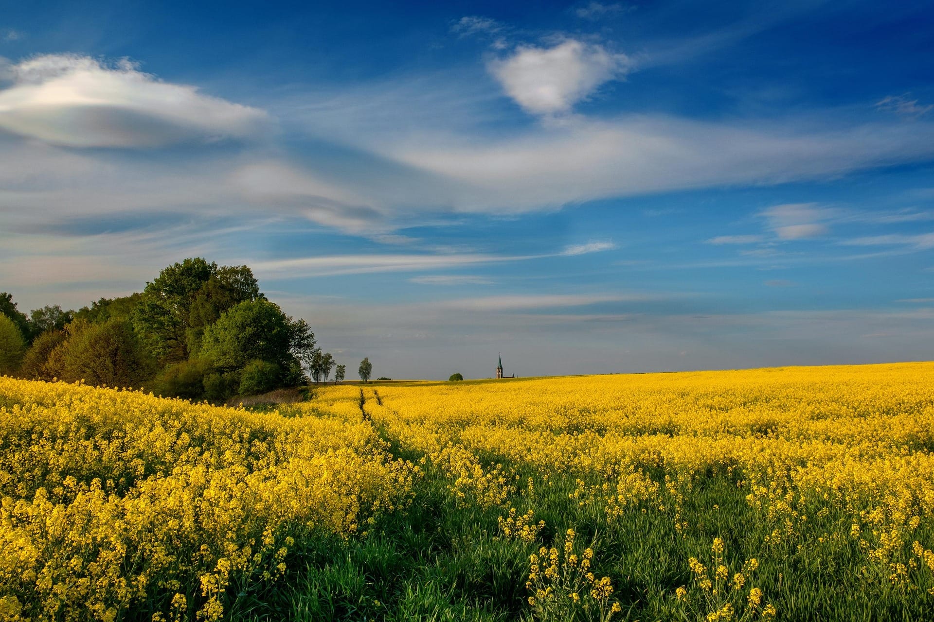 Extracting Canola Honey in Alberta