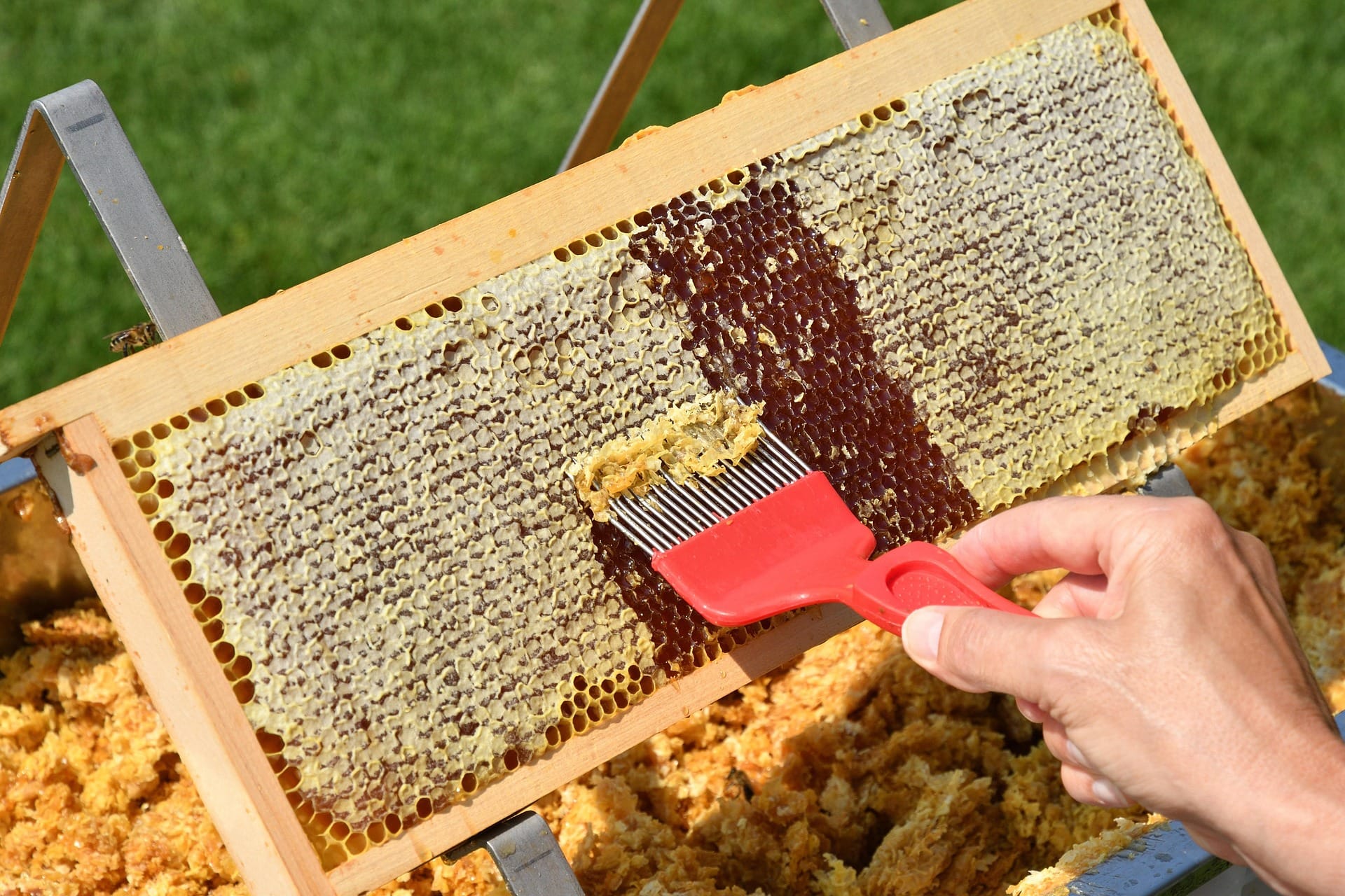 Ontario Beekeeping in July