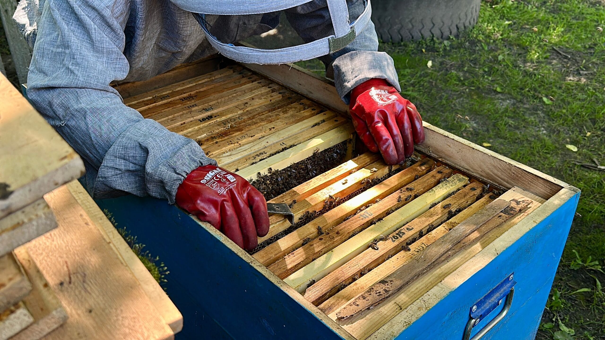 Post-Harvest Varroa Treatments in Ontario