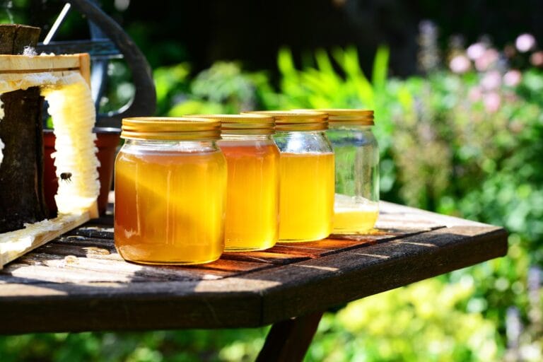 How to Harvest and Extract Honey in Ontario